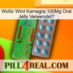 Wofür Wird Kamagra 100Mg Oral Jelly Verwendet0 new03